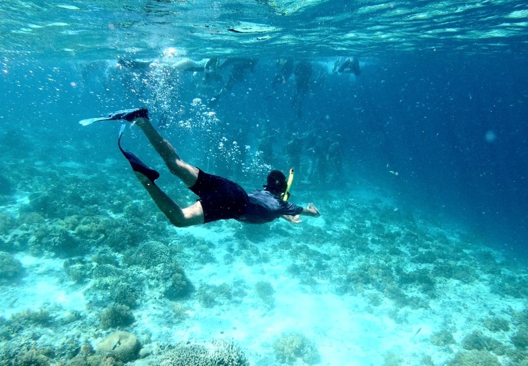 Mnemba island