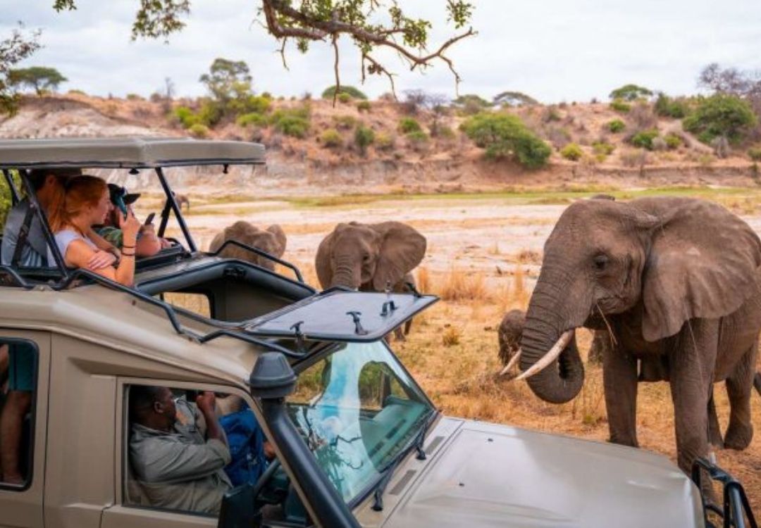 Serengeti local guide