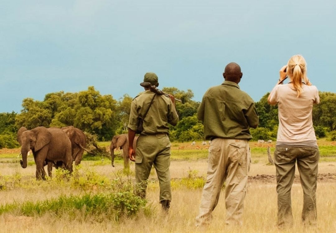 Serengeti local guide