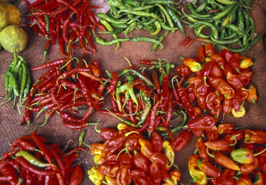 Zanzibar spices