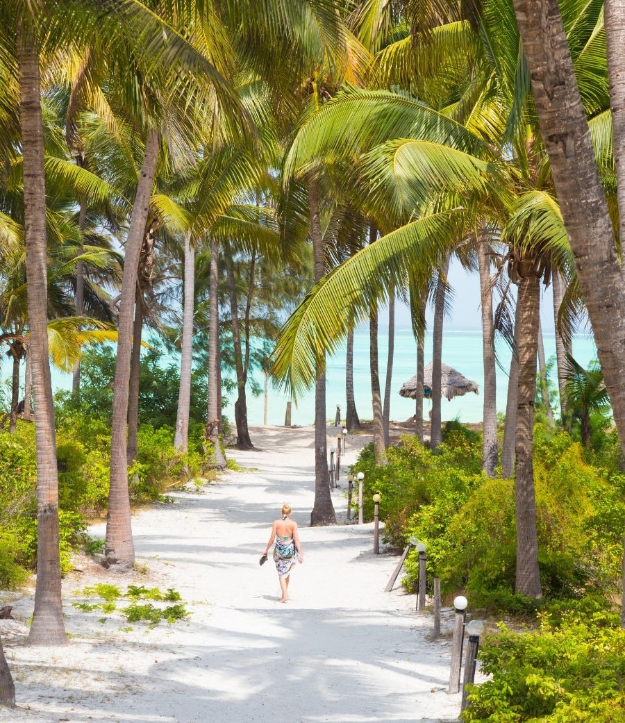 Zanzibar tours